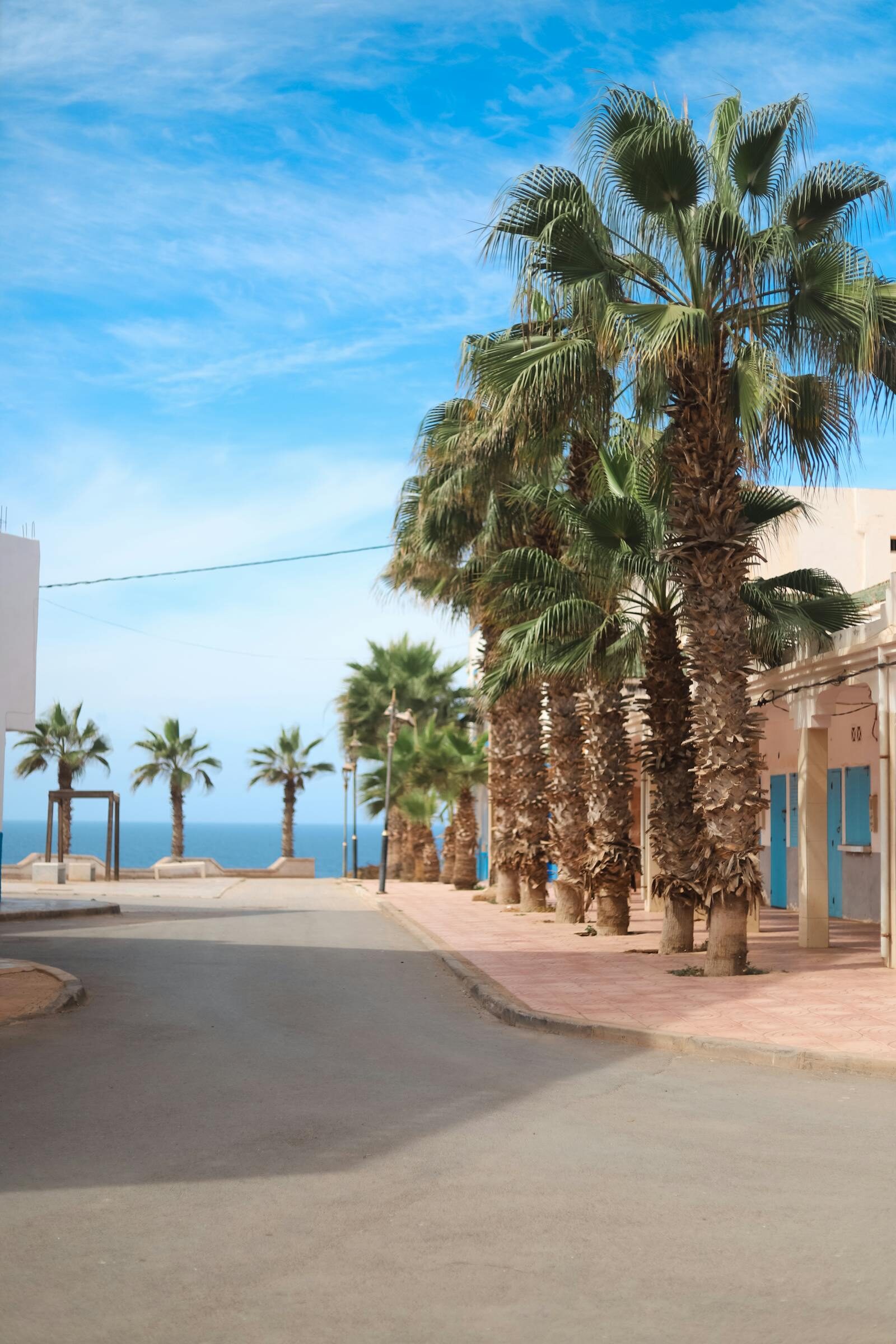 Palm-lined corniche street in Agadir on a sunny day