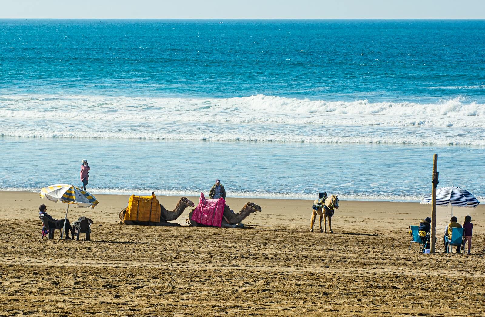 Tourists with camels and horses on the Agadir beachfront