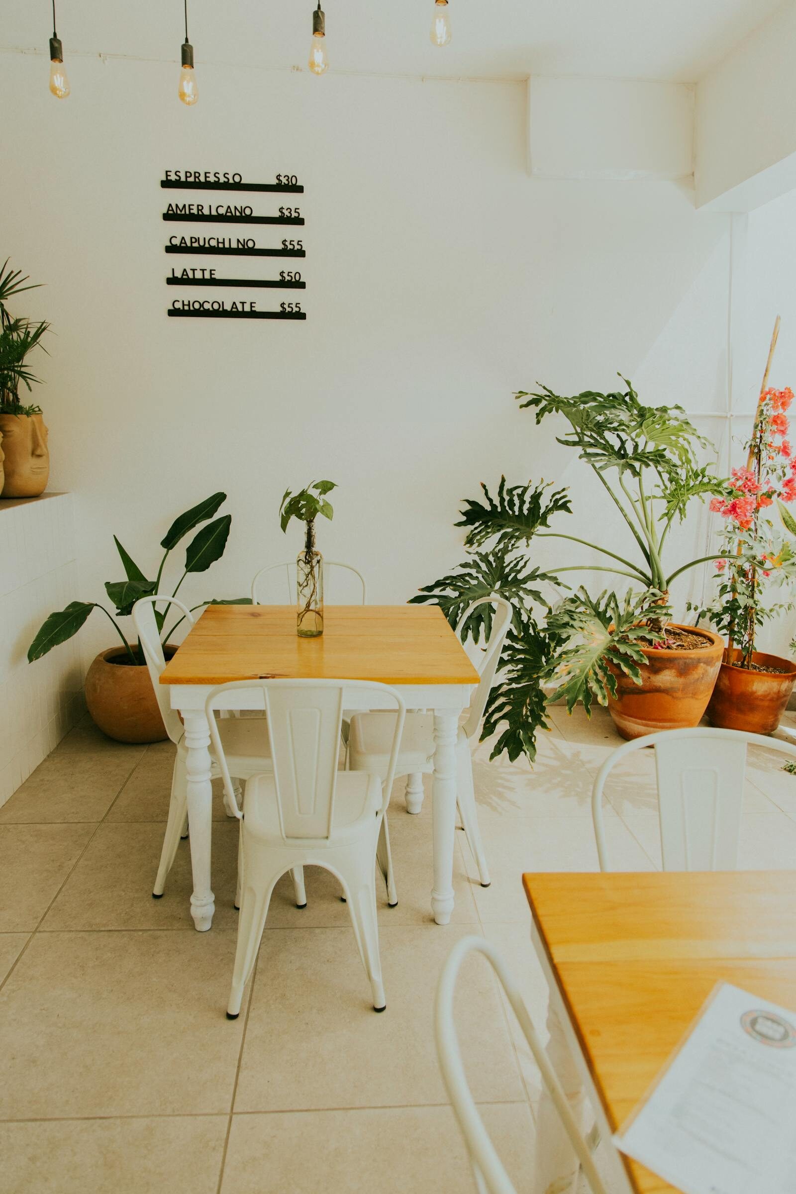 Bright minimalist cafe interior with wooden tables and plants, the kind of room TamTam brunch Agadir is built around