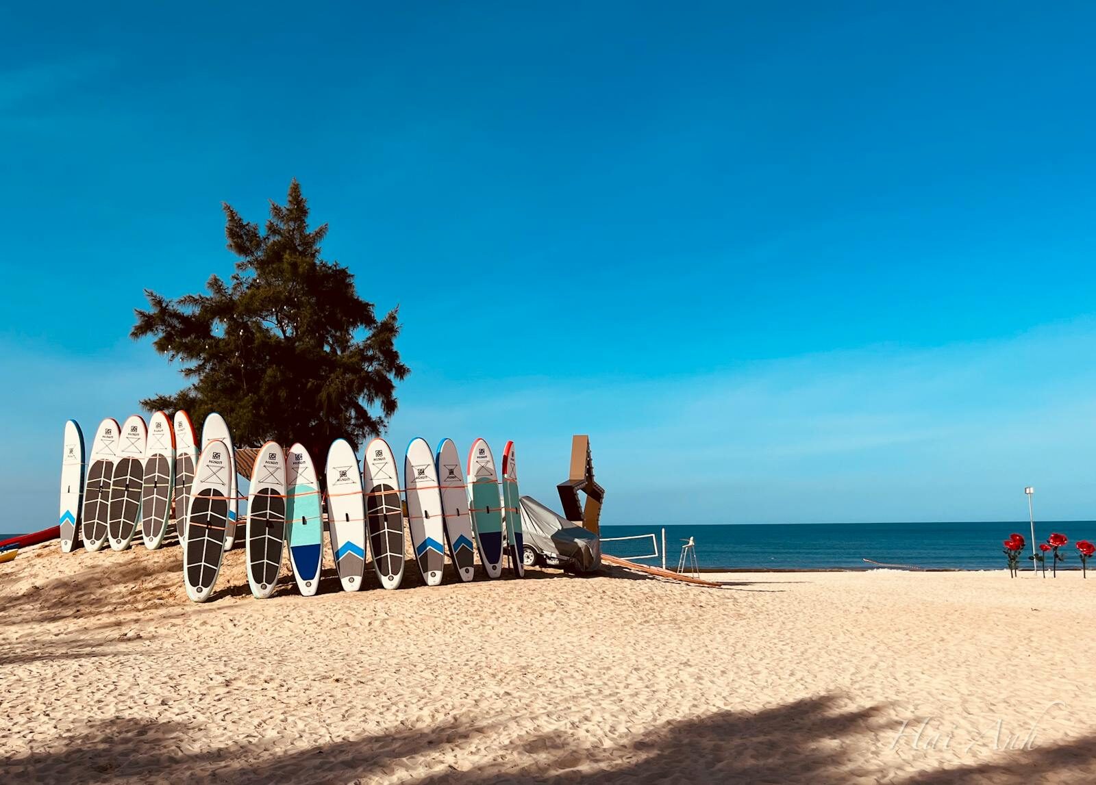 Surfboards lined up on the sand at a Taghazout surf camp, Morocco