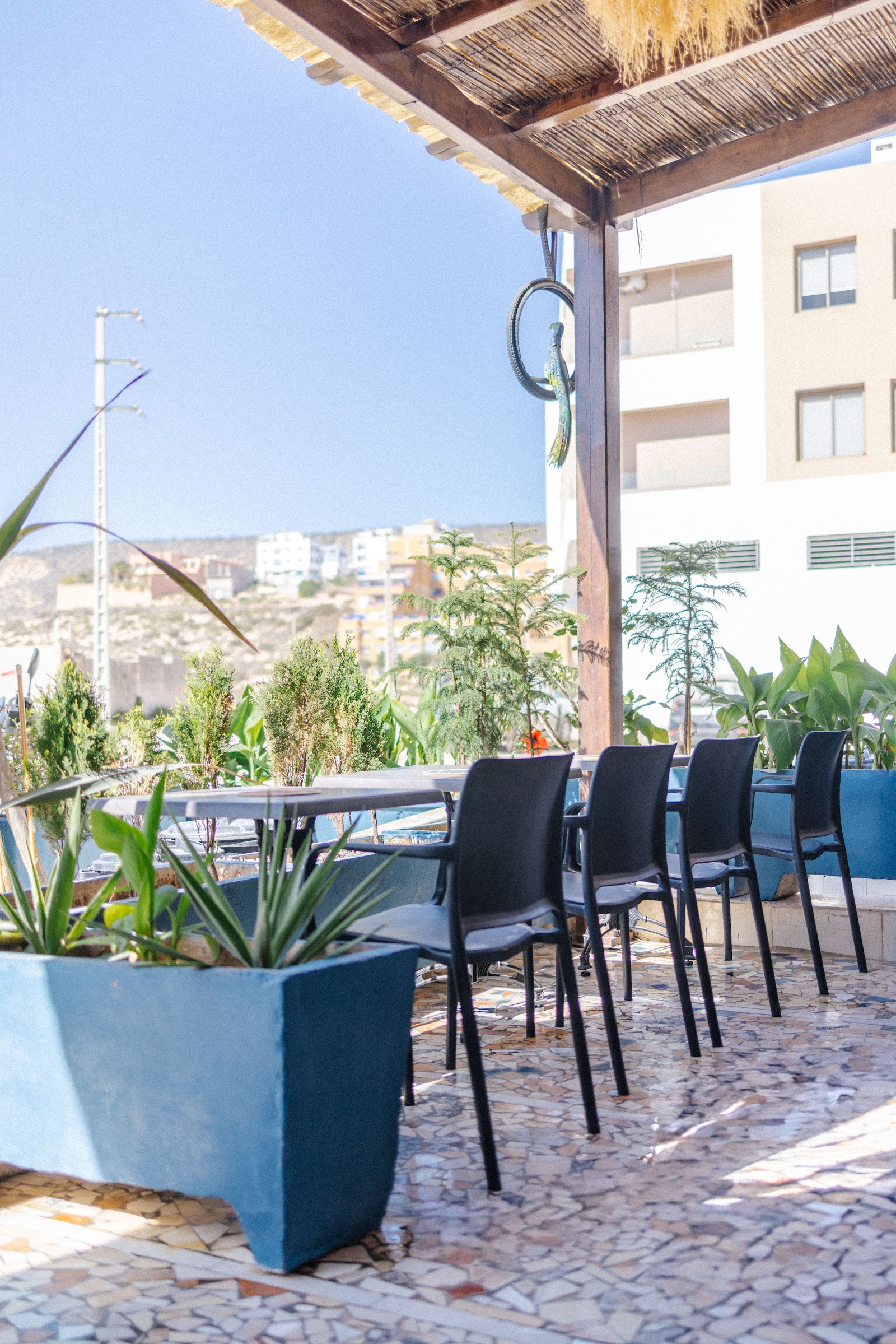 Freebirds Hostel