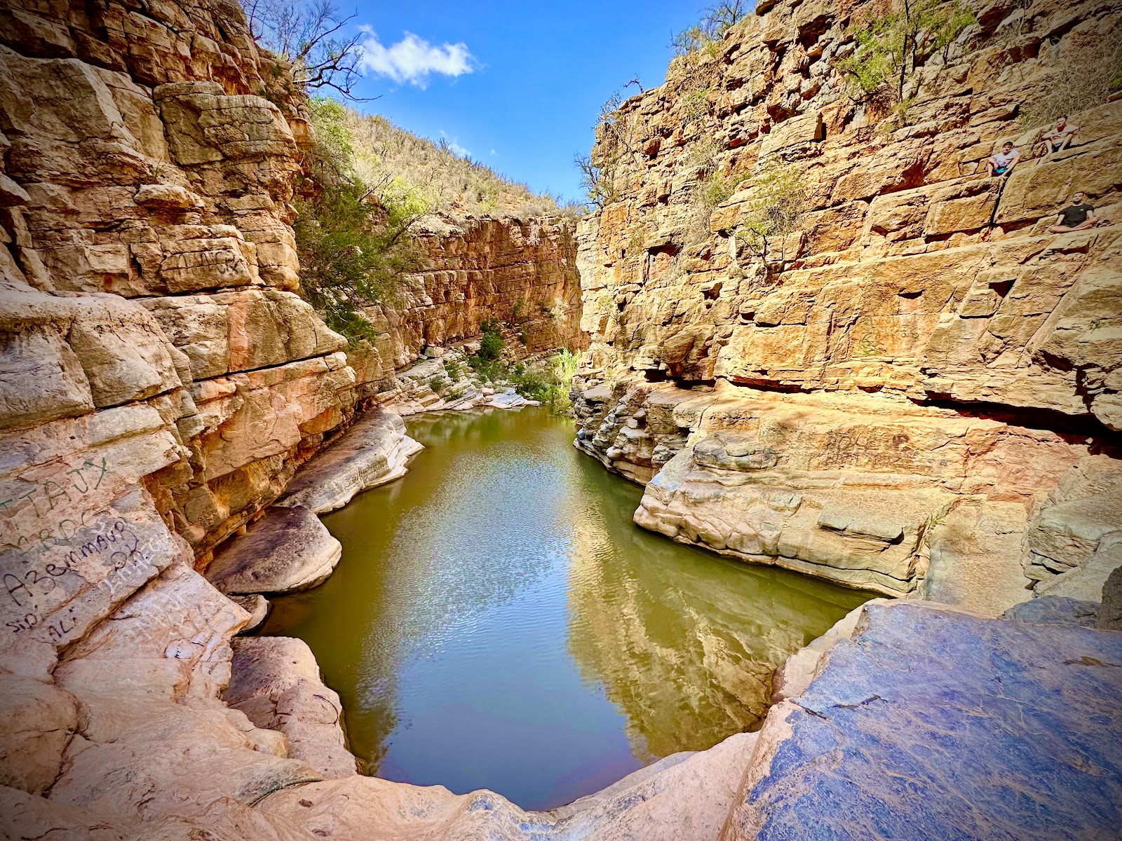 Paradise Valley — photo 2