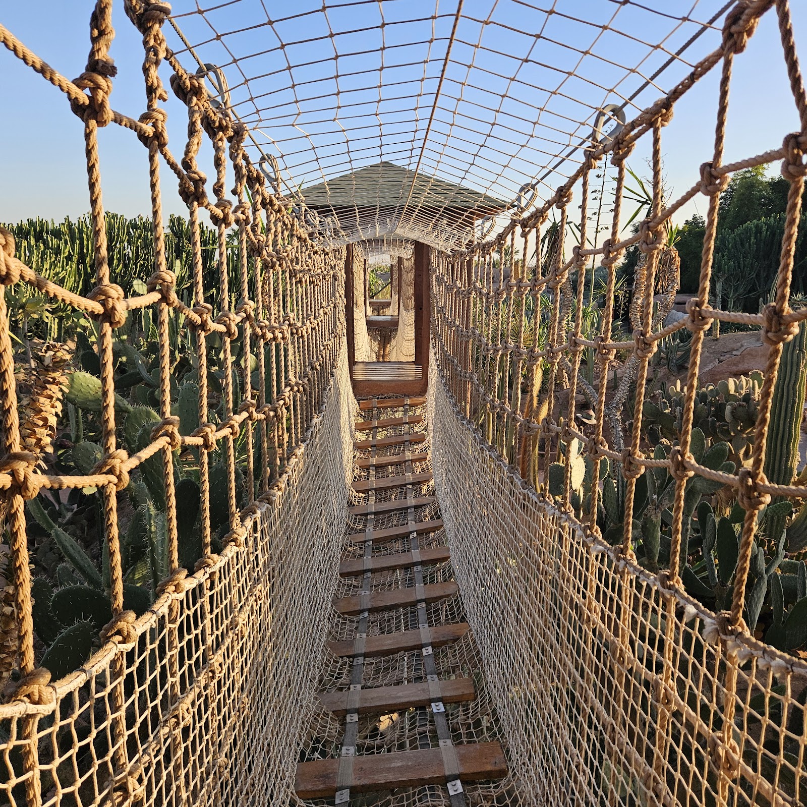 Crocoparc — photo 4