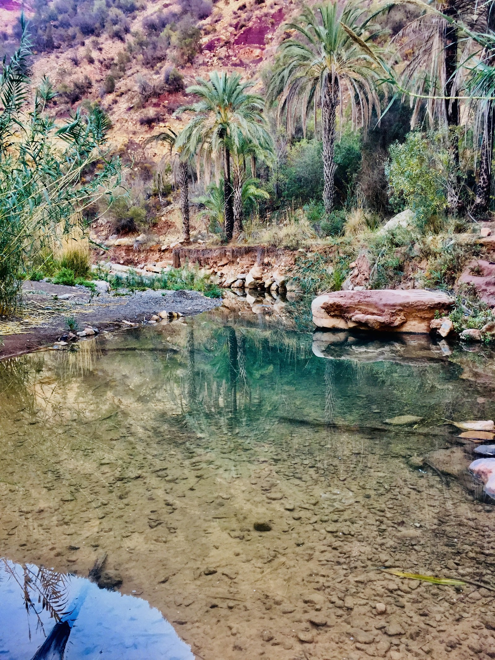 Paradise Valley — photo 5