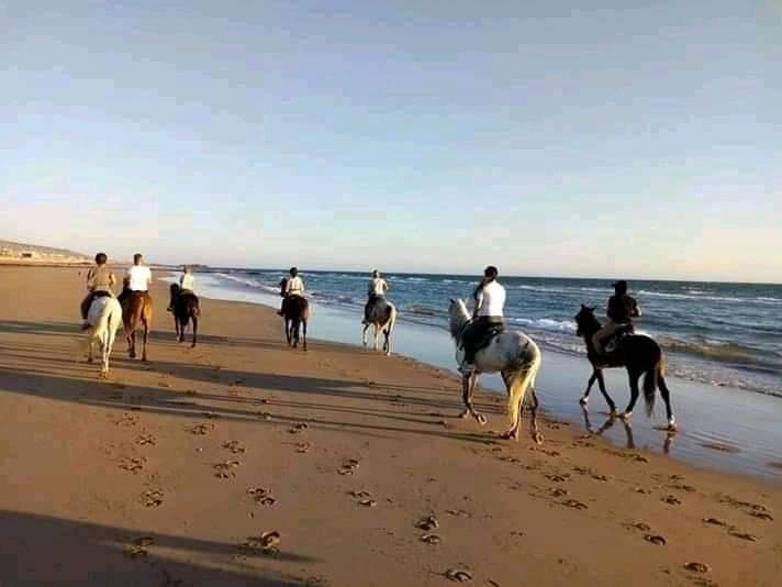 Agadir Fun — photo 2