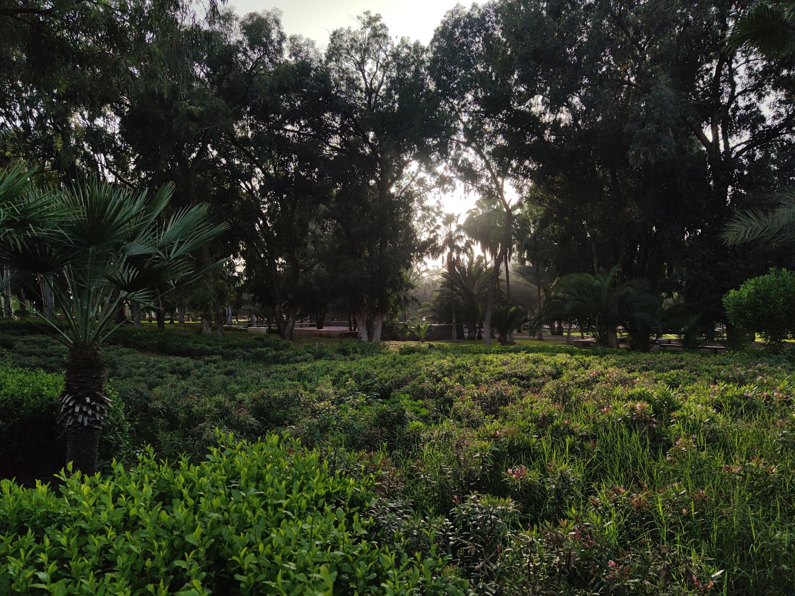 iben Zaydoun Garden — photo 4