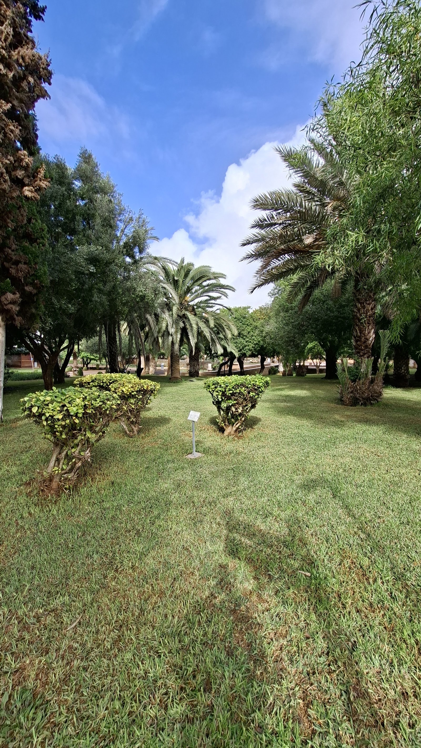 iben Zaydoun Garden — photo 5