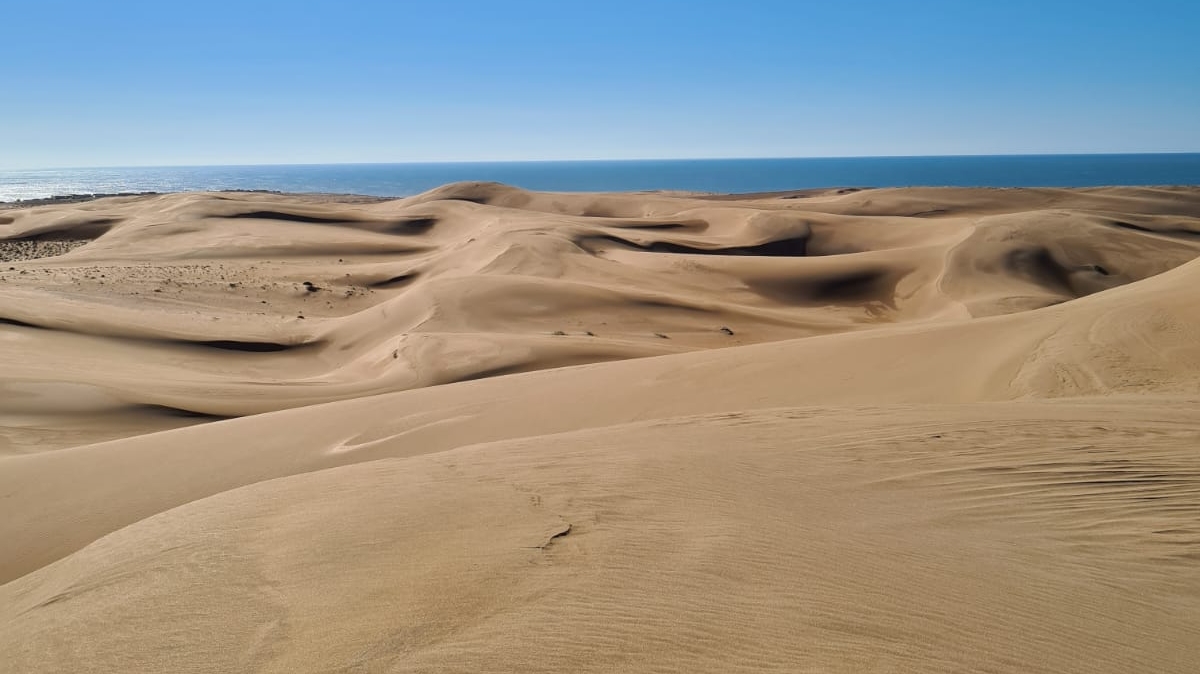 Agadir Sandboarding/activities/Tours/Quad /Camel and horse/thing to do