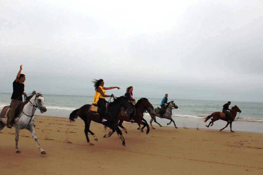 Explore Morocco: Agadir Tours, Agadir Excursions, Agadir Things to do, Agadir Airport Transfers — photo 5