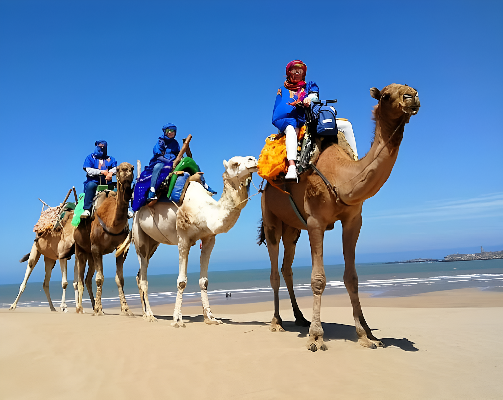 Agadir Attractions - Check Website & Whatsapp us — photo 3