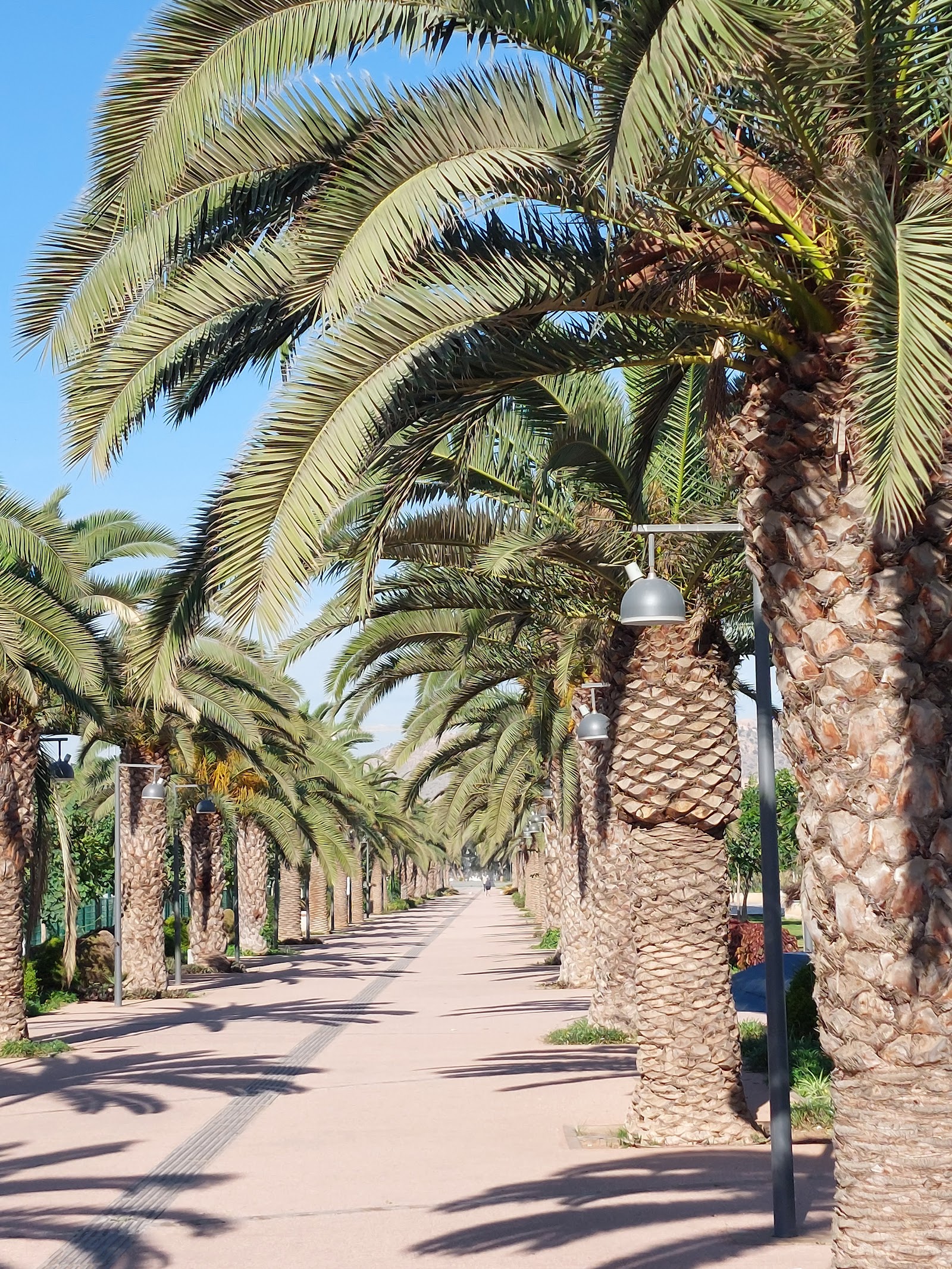 Parc urbain Al Inbiaat